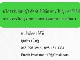 บริการรับตัดหญ้า ตัดต้นไม้เล็ก และ ใหญ่ แต่งกิ่งไม้ ครบวงจรในกรุง