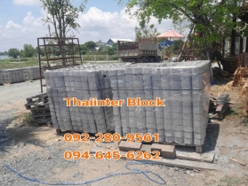 บล็อกตัวหนอน บล็อกแปดเหลี่ยม บล็อกปูหญ้า แผ่นทางเท้า