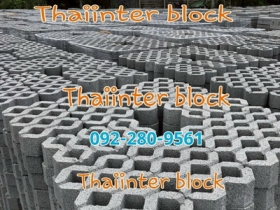 บล็อกตัวหนอน บล็อกแปดเหลี่ยม บล็อกปูหญ้า แผ่นทางเท้า