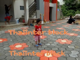 บล็อกตัวหนอน บล็อกแปดเหลี่ยม บล็อกปูหญ้า แผ่นทางเท้า