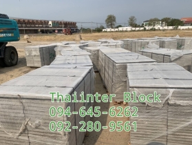 บล็อกตัวหนอน บล็อกแปดเหลี่ยม บล็อกปูหญ้า แผ่นทางเท้า