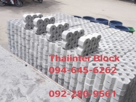 บล็อกตัวหนอน บล็อกแปดเหลี่ยม บล็อกปูหญ้า แผ่นทางเท้า