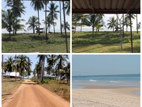 ขายที่ดินริมทะเล สุดพิเศษ -โอกาสการลงทุนที่คุณไม่ควรพลาด 100 ตร.ว