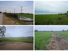 ขายที่ดิน แปลงใหญ่สวย ติดถนนสาย 347 ปทุมธานี-บางปะหัน ต.บางประแดง
