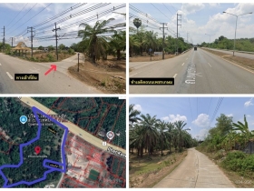 ขายที่ดิน 2 แปลงติดกัน (2 โฉนด) ต.ปกาสัย อ.เหนือคลอง จ.กระบี่