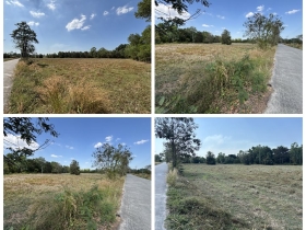 ขายที่ดิน 13 ไร่ 63 ตร.ว. บ้านนา นครนายก ถนนสุวรรณศร ยกแปลก