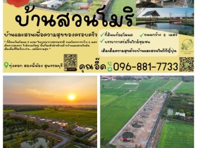 ที่ดินแบ่งขาย ที่ อ.สองพี่น้อง จ.สุพรรณบุรี สวยงาม พร้อมสร้างบ้าน