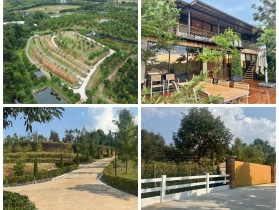 สวนทุเรียนขั้นบันได บ้านตากอากาศบนเขา พร้อมโฉนด วิวหลักล้าน 11ไร่