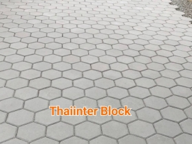 บล็อกตัวหนอน บล็อกแปดเหลี่ยม บล็อกปูหญ้า แผ่นทางเท้า