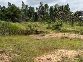 ขายด่วน! ที่ดินอุบลฯ 5 ไร่ สวยๆ เพียง 800,000 บาท คุ้มกว่านี้ไม่ม