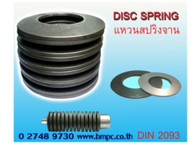 แหวนจาน, Cup spring, Bearing preload spring, Schnorr, Disc spring