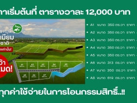 ขายที่ดินหมูสี ปากช่อง เขาใหญ่ โคราช แบ่งแปลงขายพร้อม สาธารณุปโภค